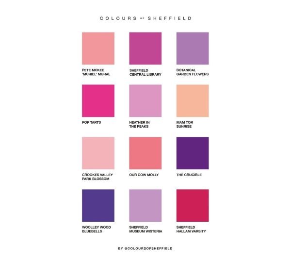 Spectrum Colours Of Sheffield Print Pink